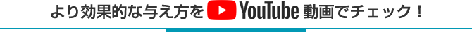 より効果的な与え方をYoutube動画でチェック！