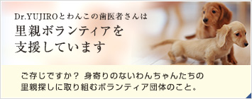 Dr.YUJIRO�Ƃ�񂱂̎���҂���͗��e�{�����e�B�A���x�����Ă��܂�