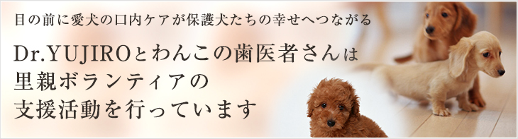 Dr.YUJIRO�Ƃ�񂱂̎���҂���́A���e�{�����e�B�A�̎x���������s���Ă��܂�