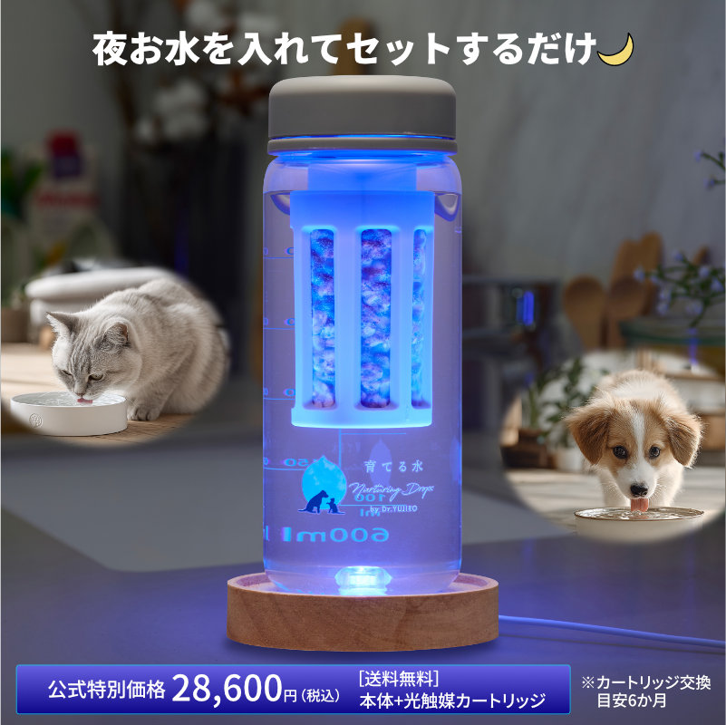 �邨�������ăZ�b�g���邾��