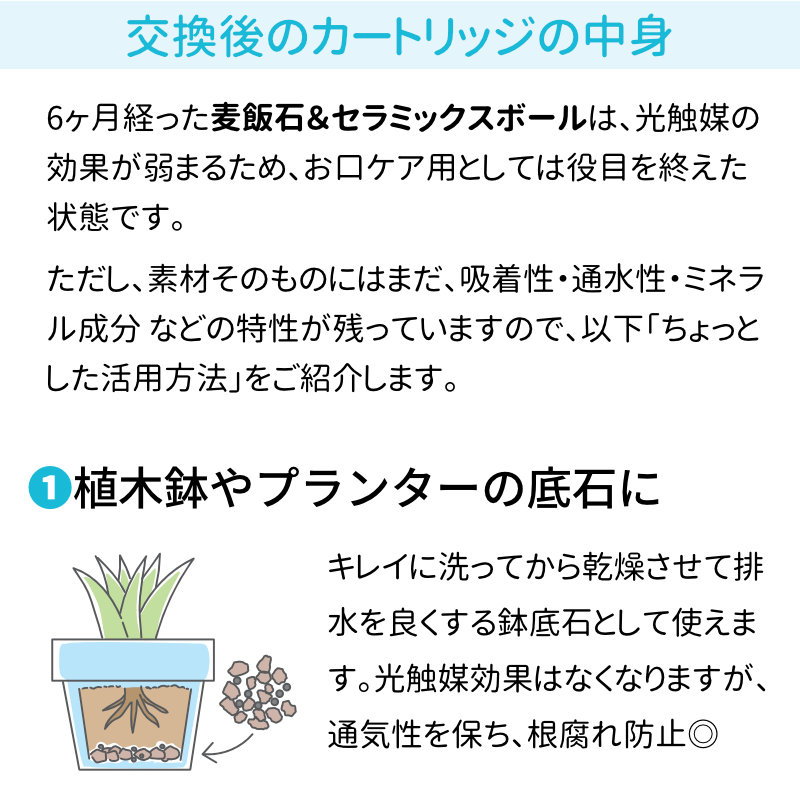 ������̃J�[�g���b�W�̒��g